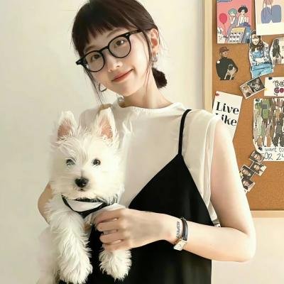 蜂蜜与四叶草第一季